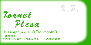 kornel plesa business card